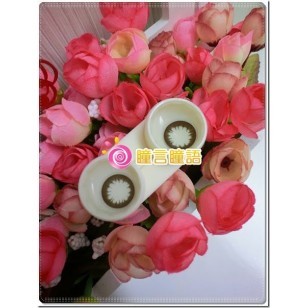 L-Con POP 1 Day Chocolat